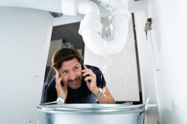 Best Sprinkler Systems  in Cordova, AK